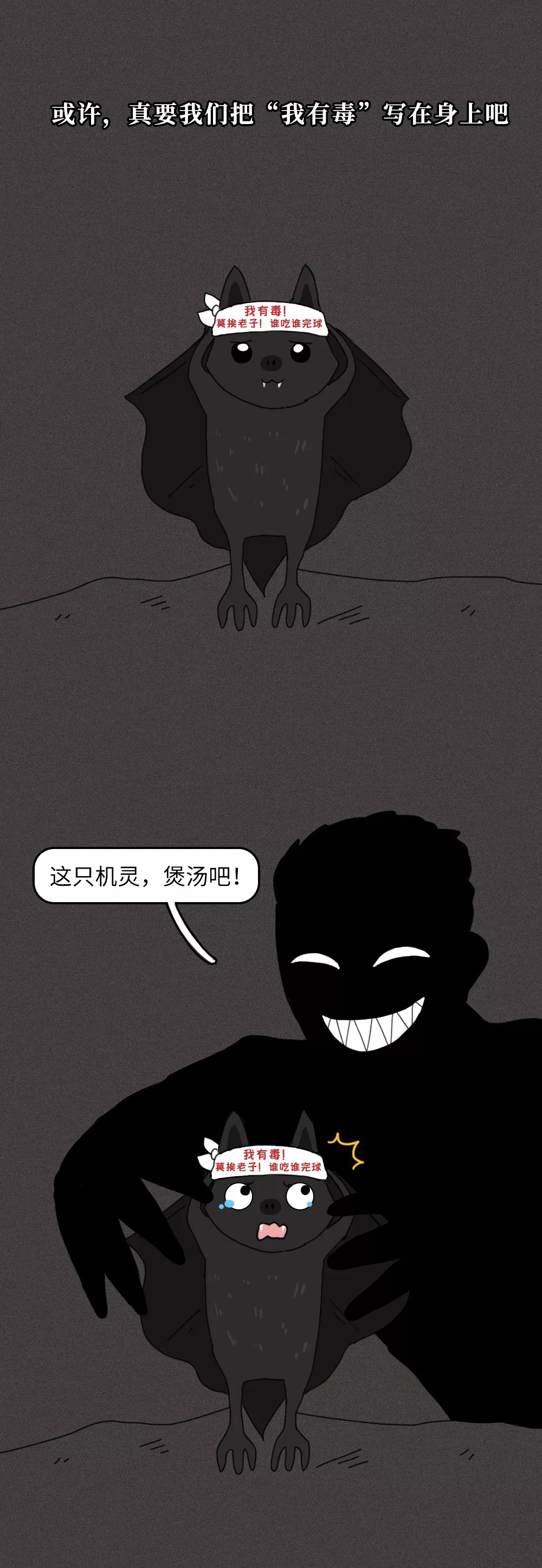 一只蝙蝠的自述：我已经努力进化成没人喜欢的样子，可是…… 第 4 张