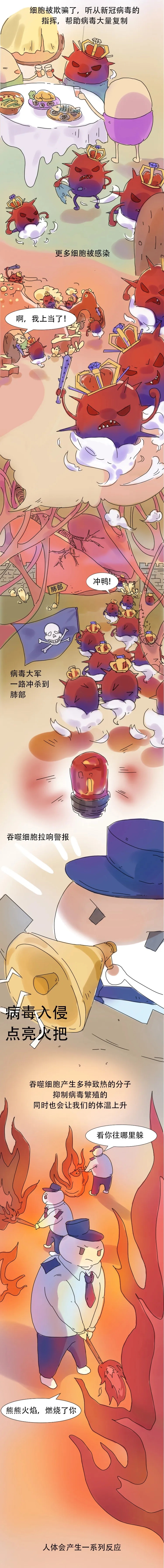 最萌手绘长图告诉你，免疫细胞和病毒战斗全过程！ 第 5 张