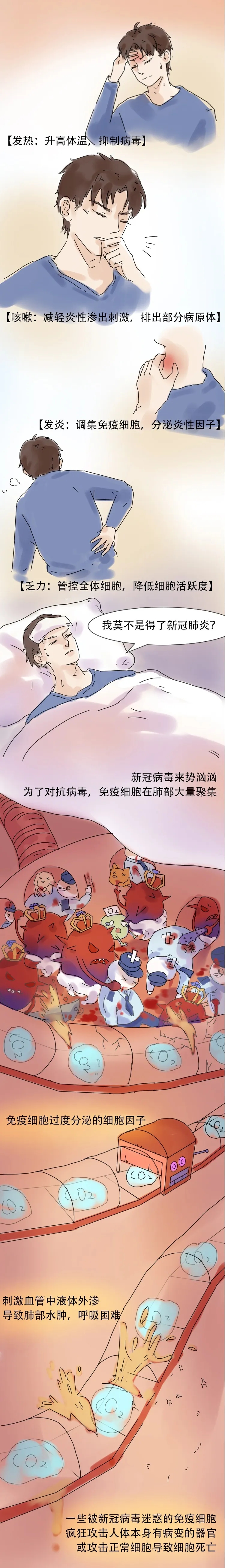 最萌手绘长图告诉你，免疫细胞和病毒战斗全过程！ 第 6 张