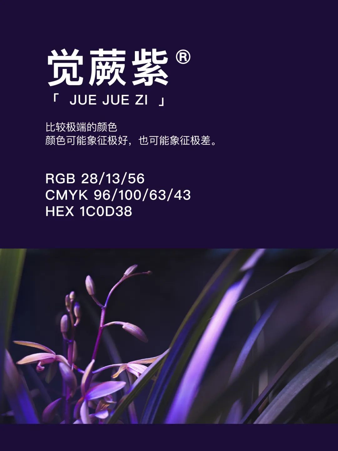 42种东方国度的神秘色彩 第 3 张
