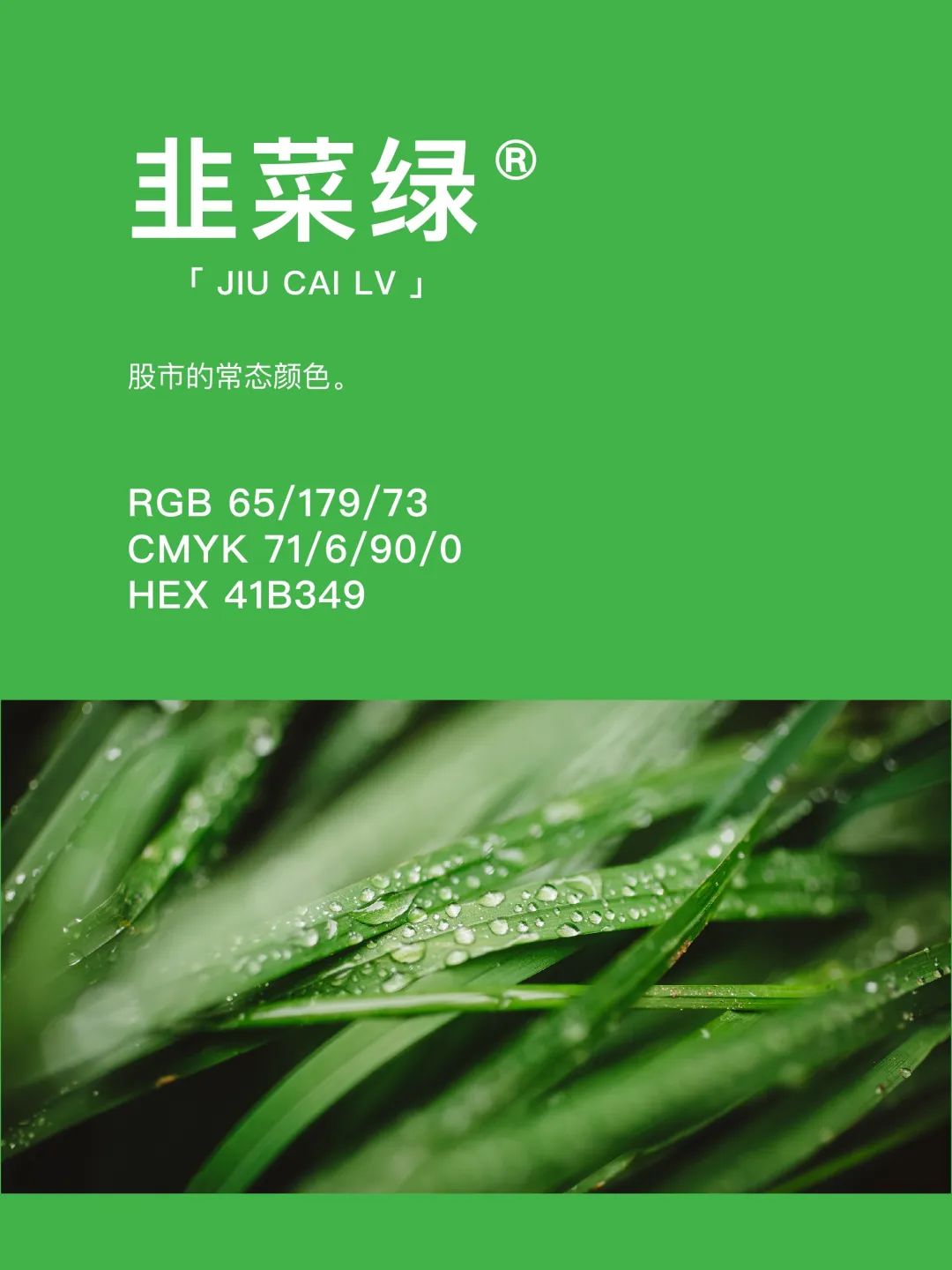 42种东方国度的神秘色彩 第 15 张