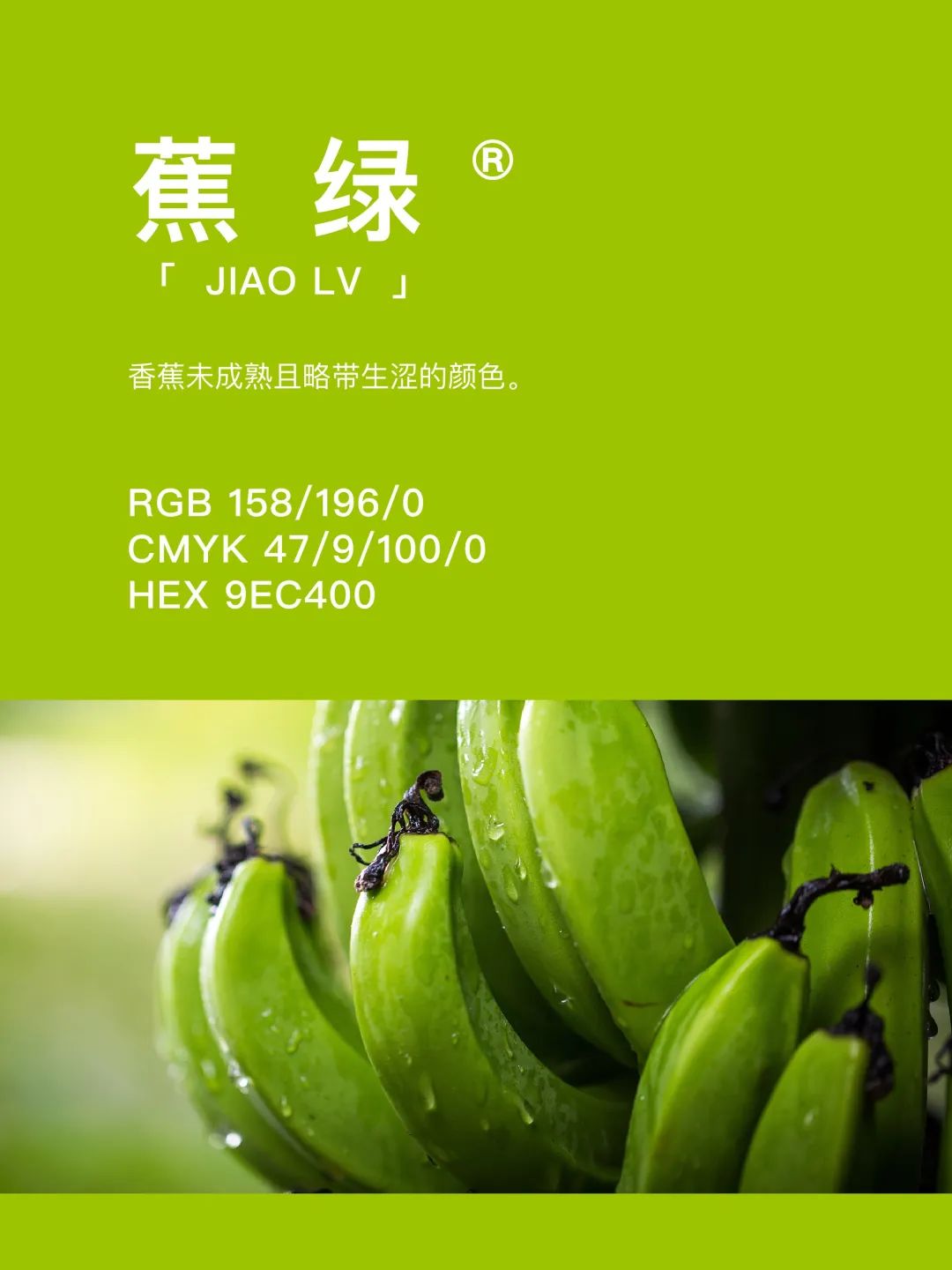 42种东方国度的神秘色彩 第 41 张