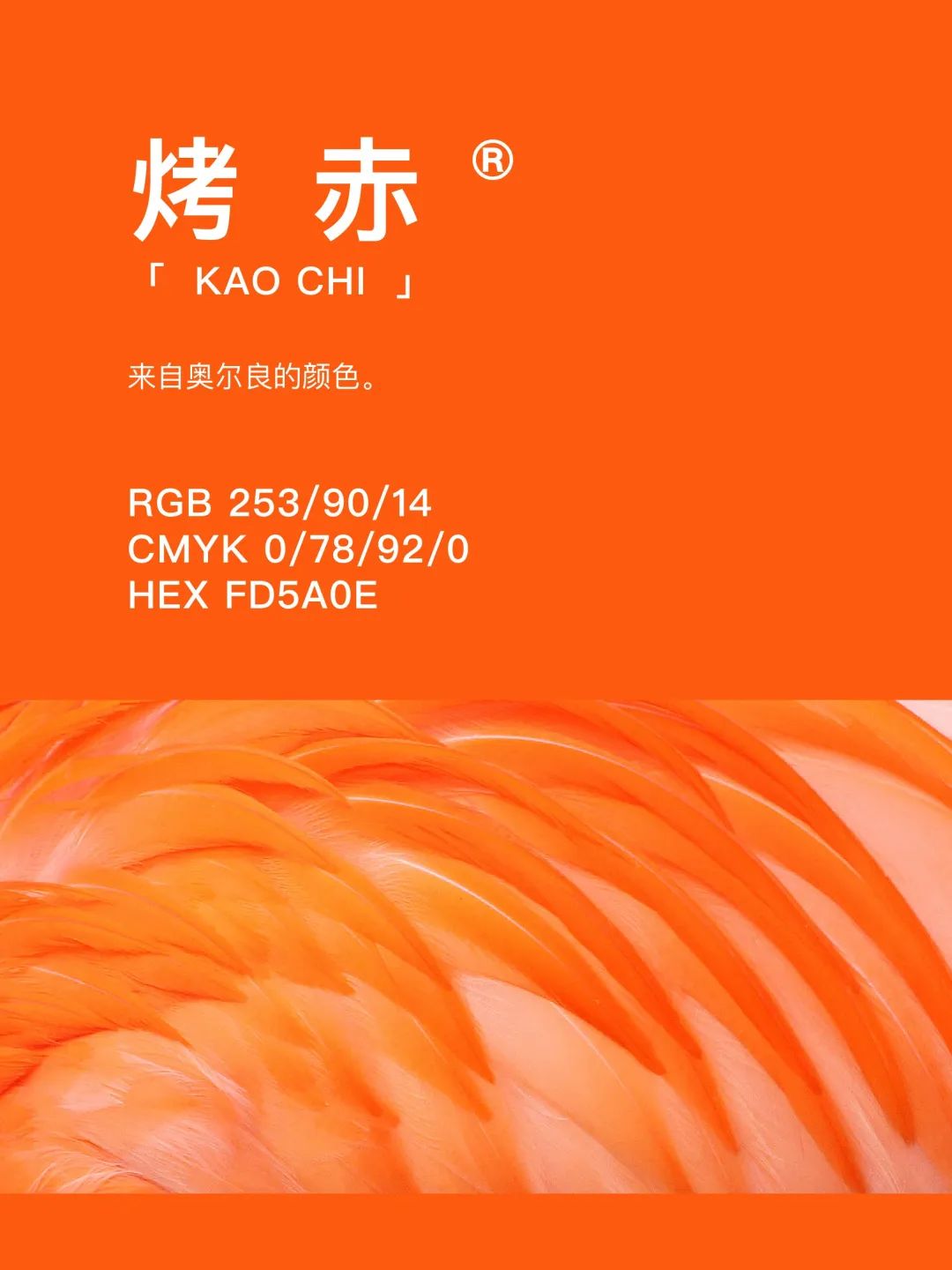 42种东方国度的神秘色彩 第 43 张