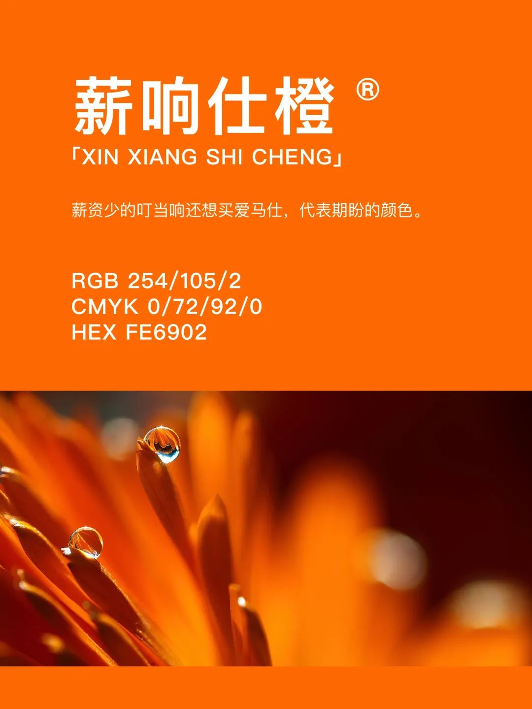 42种东方国度的神秘色彩 第 61 张