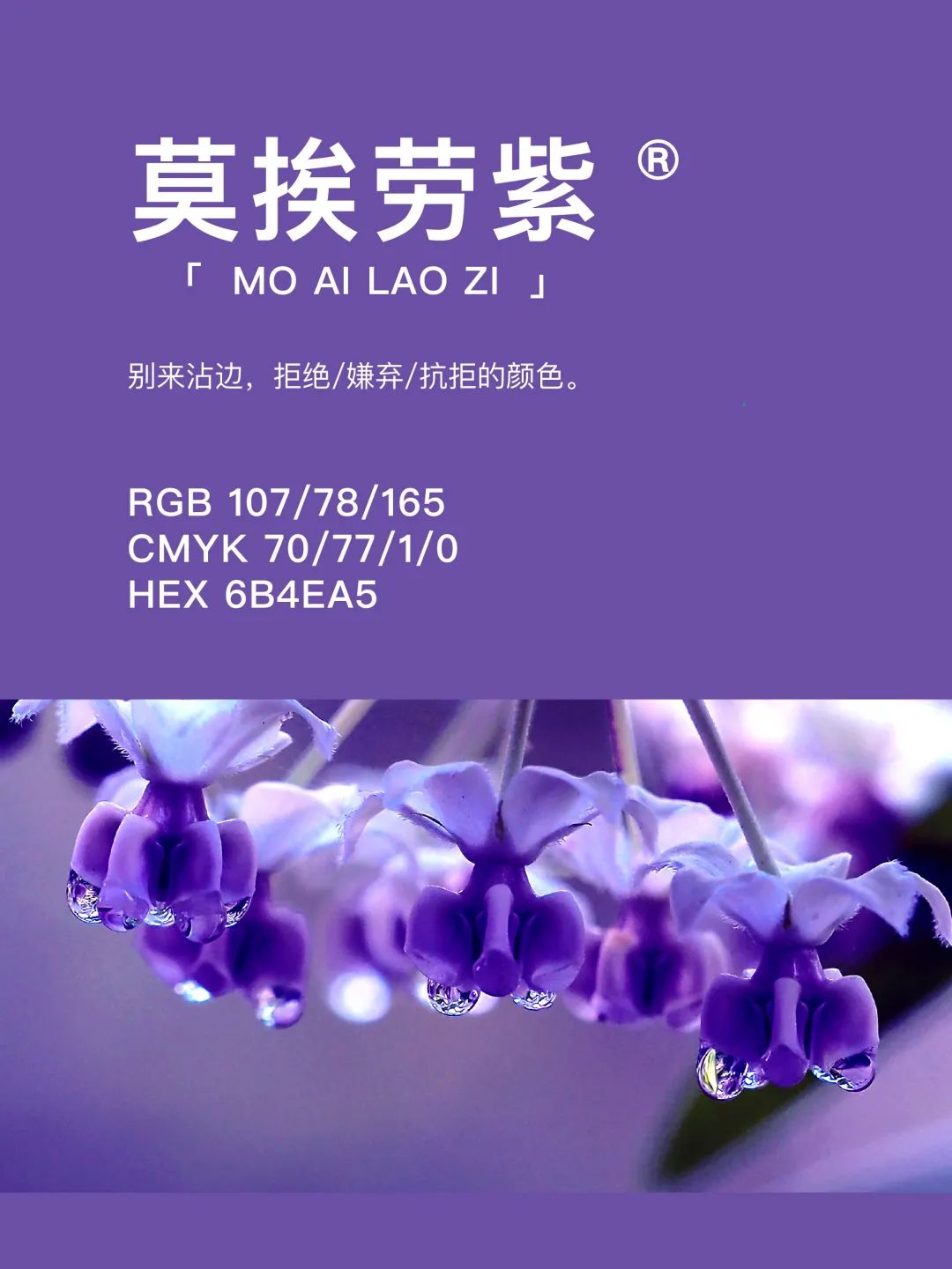 42种东方国度的神秘色彩 第 69 张