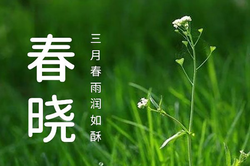 77款免费可商用字体大合集！ 第 25 张