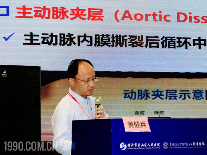 兰山区胸痛中心联盟2024年度学术交流会成功举行 第 5 张