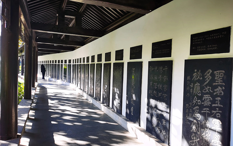 书圣文化传承发展暨友好城市书画交流会在王羲之故居举行 第 24 张