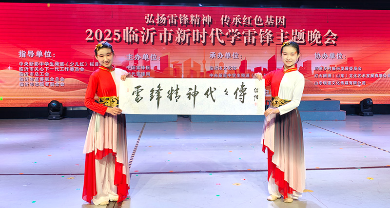 2025年临沂新时代新雷锋主题晚会成功举办 第 36 张