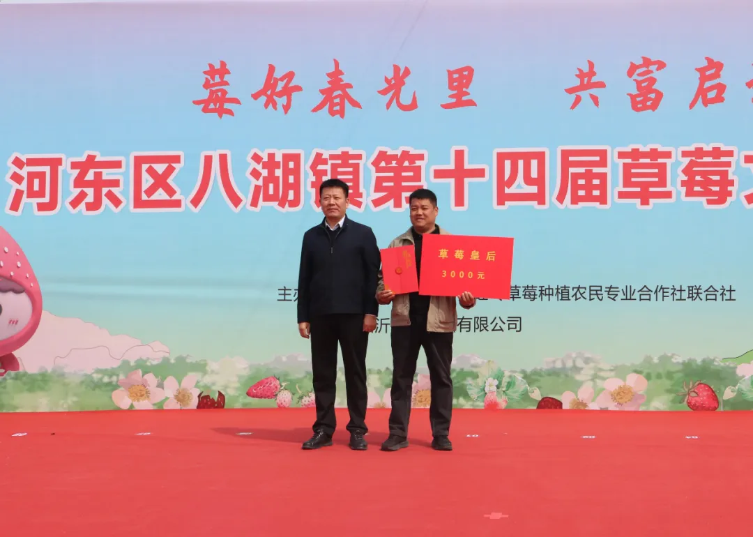 “莓”好春光里 共富启新程——河东区八湖镇第十四届草莓文化旅游节开幕啦！ 第 3 张