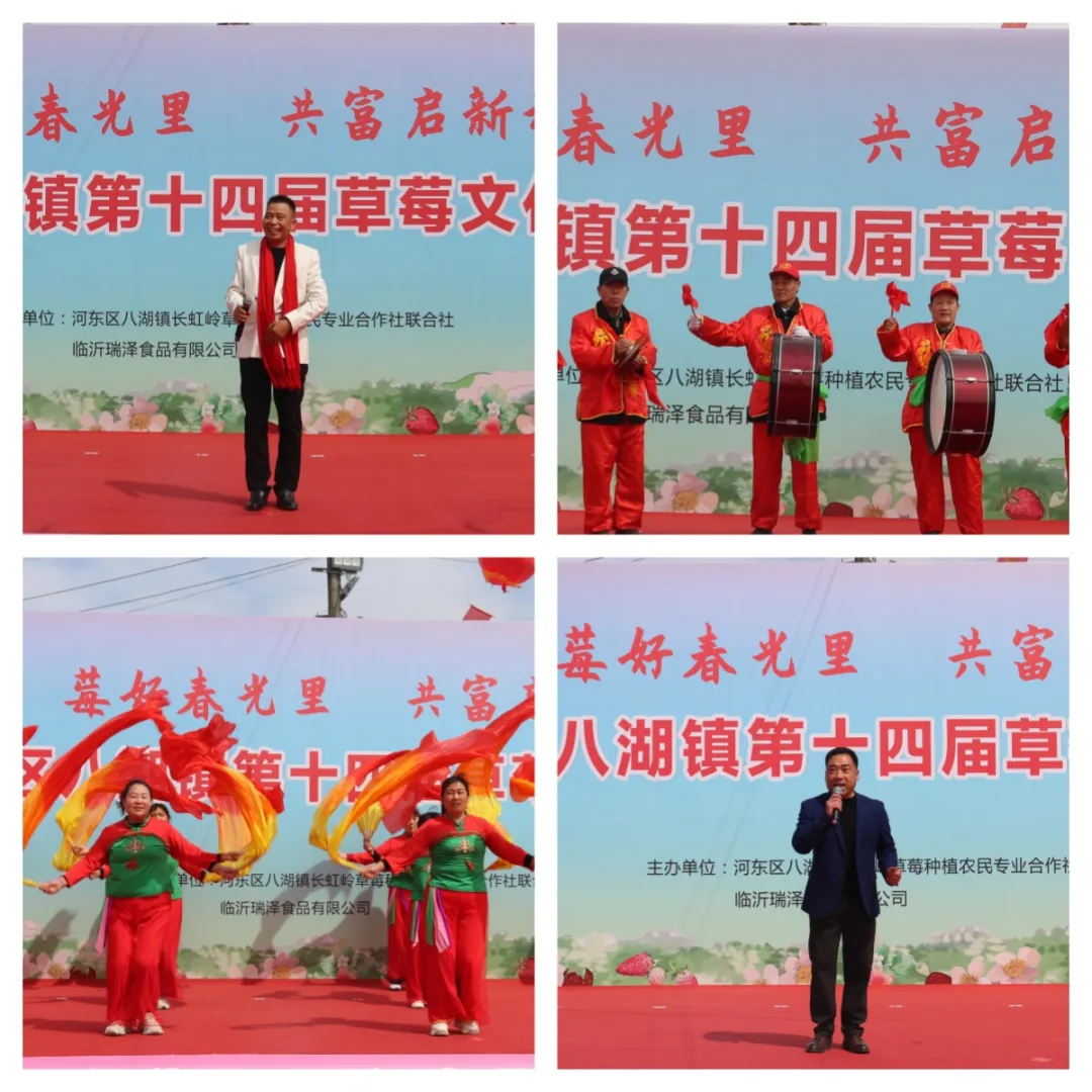 “莓”好春光里 共富启新程——河东区八湖镇第十四届草莓文化旅游节开幕啦！ 第 7 张