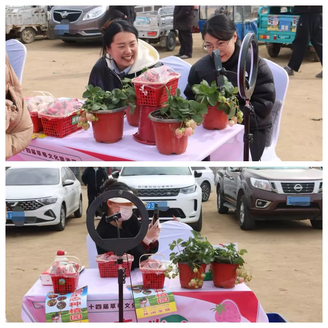 “莓”好春光里 共富启新程——河东区八湖镇第十四届草莓文化旅游节开幕啦！ 第 9 张