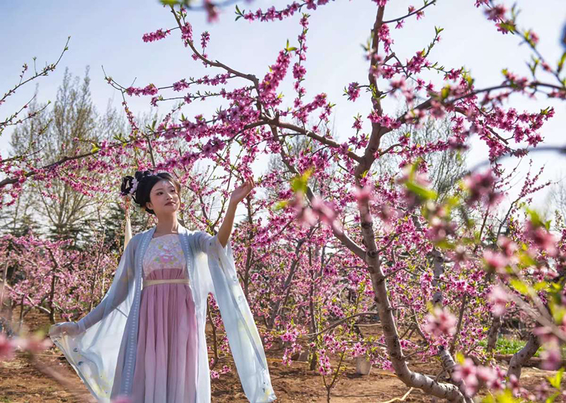 2025李官镇第三届春季文化旅游节盛大启幕